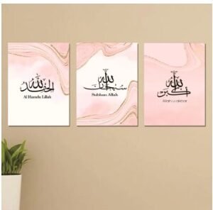 Set of 3 Flower Wall Art Wooden Canvas Frames (8×11 Inches)
