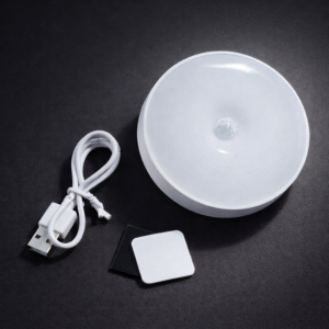 Intelligent Induction Lamp