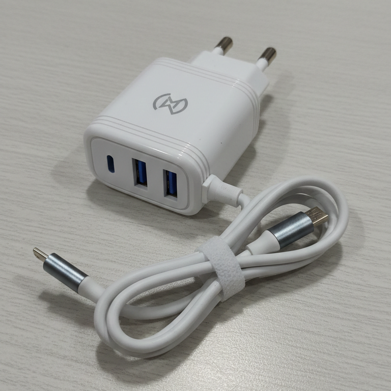 Wm 27 3.1a Fast Micro USB Charger with Dual USB Ports - Image 4
