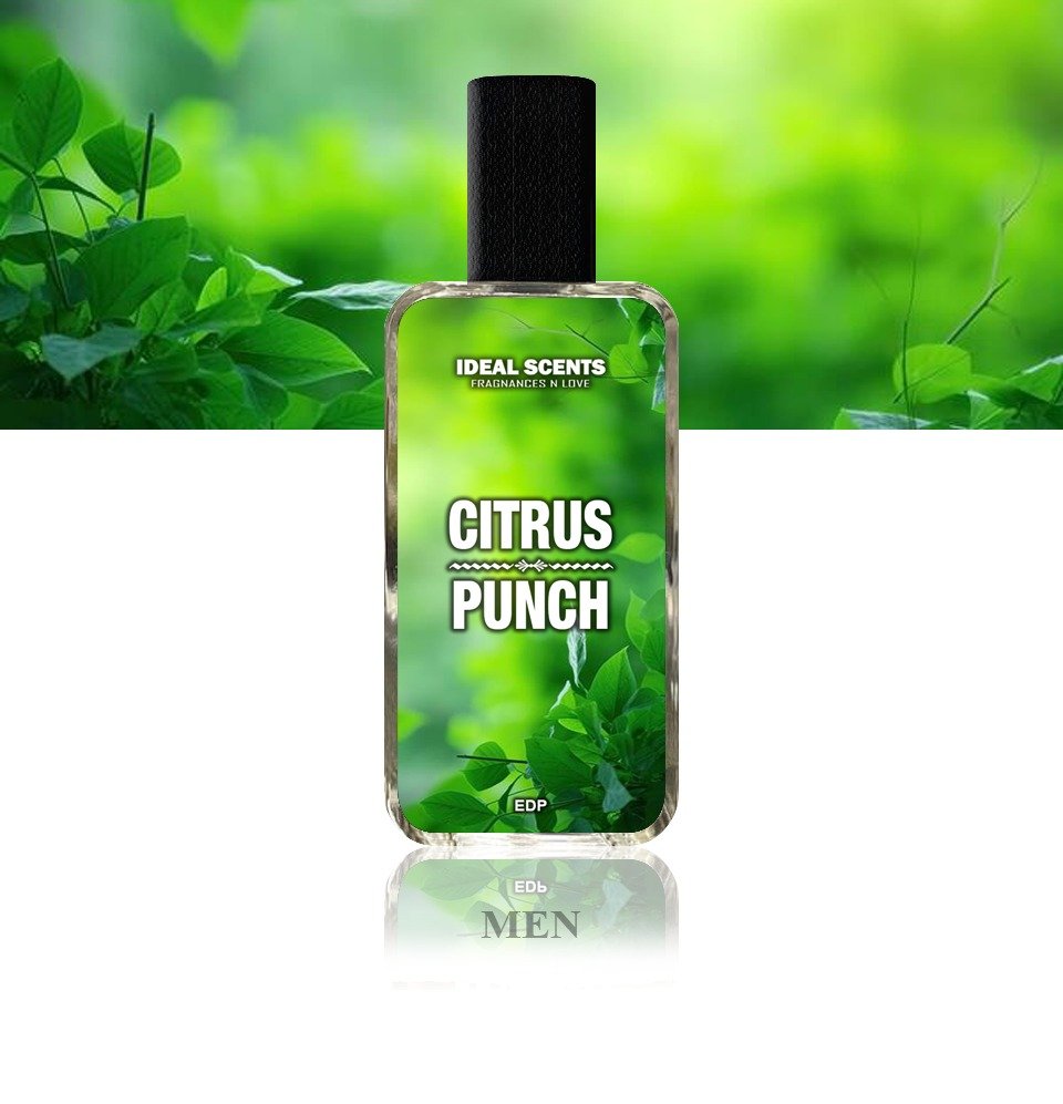 Citrus Punch Fragrance - Image 3