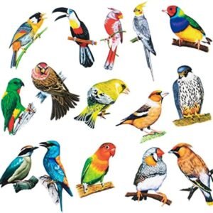 3D Art Crafts Birdswall Stickers (Pack Of 8 Pcs )