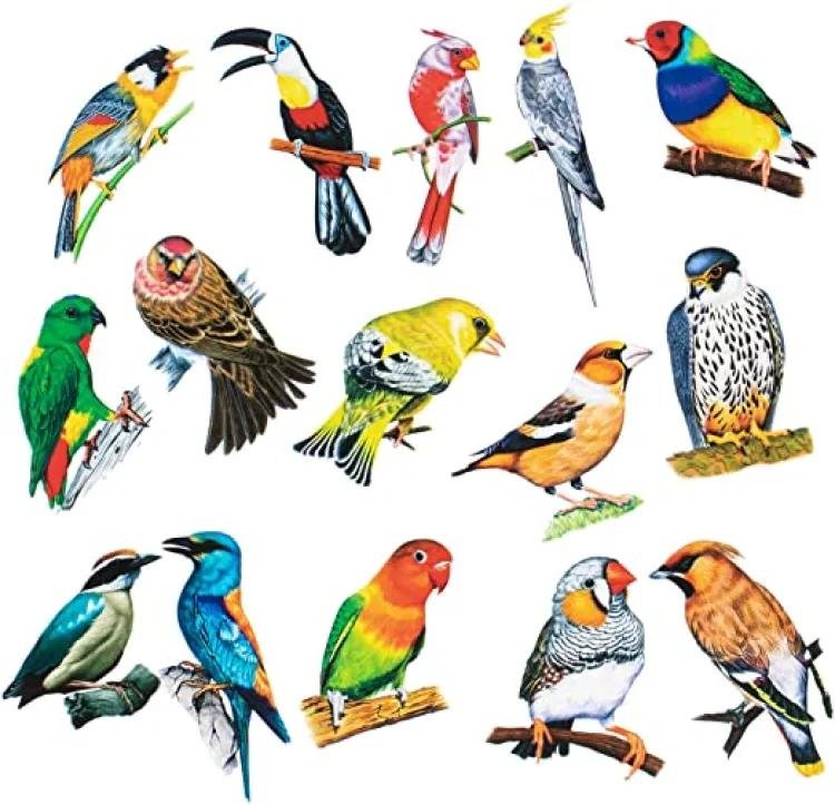 3D Art Crafts Birdswall Stickers (Pack Of 8 Pcs )