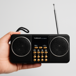 Yuegan Yg-1881Bt Portable Digital Music Player With Fm Radio,...