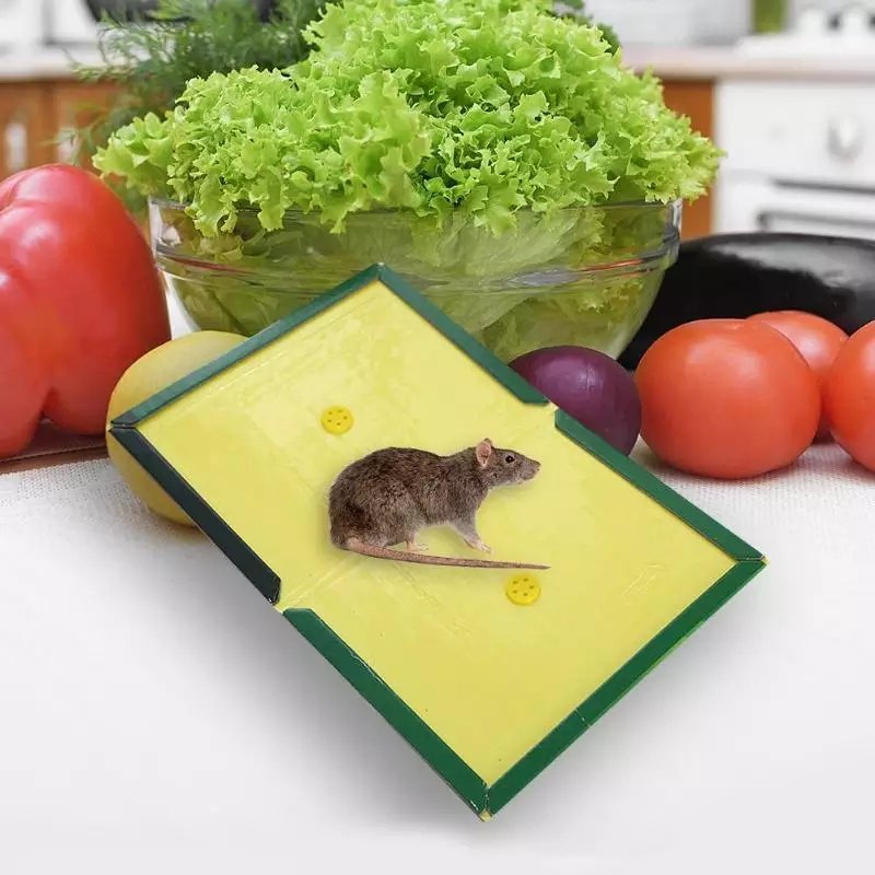 Reusable Expert Catch Mouse &Amp; Rat Glue Catch Trap - Image 4