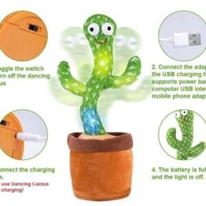 Dancing Cactus Toy