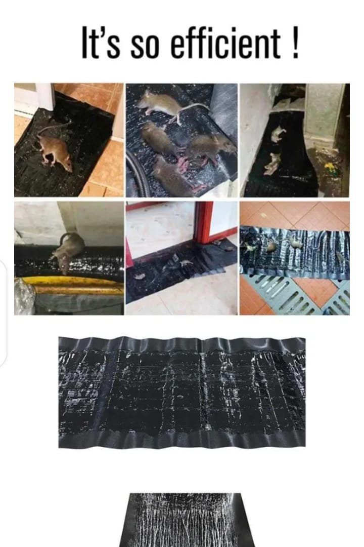 Effective Rat And Mouse Glue Mat Trap - 120X28Cm Sticky Rodent...