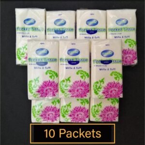 10 Packs Portable Pocket Travel Tissues