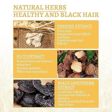 Drakkar Collection Ganoderma Nutrient Natural Darkening Anti-Greying - Image 4