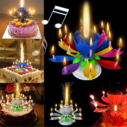 Musical Birthday Flower Candle (Random Colors)