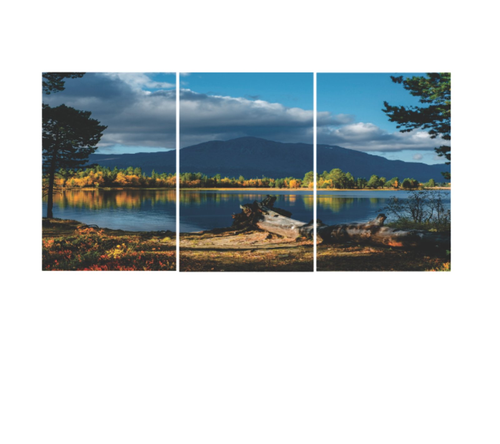 Set Of 3 Nature Wall Art Phototile Frame - Image 3